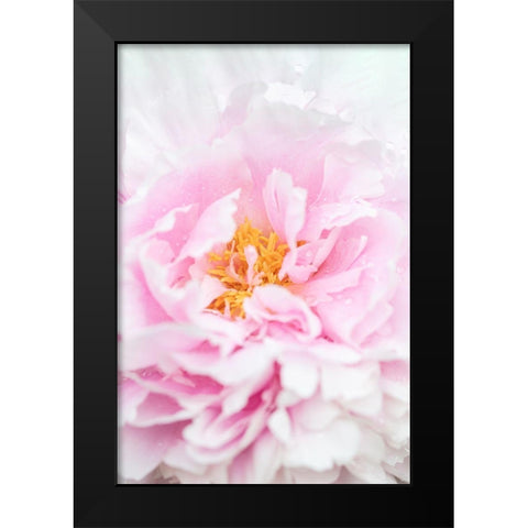 Peony_6 Black Modern Wood Framed Art Print by 1x Studio III