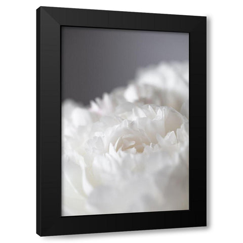 Peony_15 Black Modern Wood Framed Art Print with Double Matting by 1x Studio III
