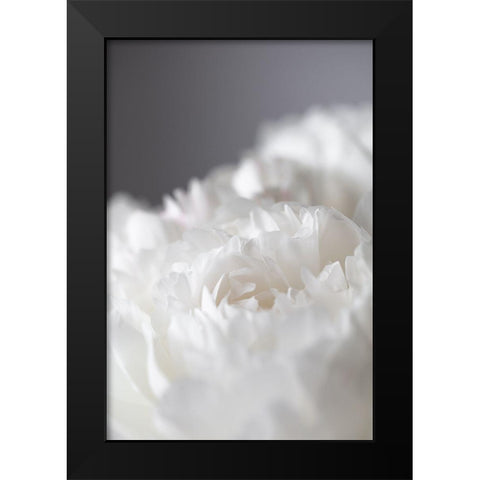 Peony_15 Black Modern Wood Framed Art Print by 1x Studio III