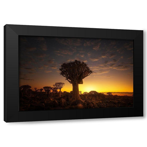 At Sunrise 7R45806 Black Modern Wood Framed Art Print with Double Matting by Joanaduenas