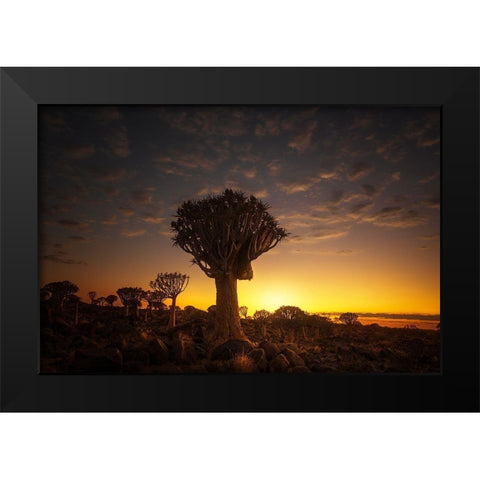 At Sunrise 7R45806 Black Modern Wood Framed Art Print by Joanaduenas