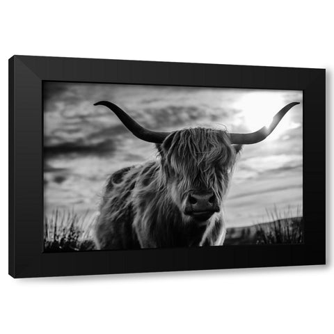 Scottish Black Modern Wood Framed Art Print with Double Matting by Kreiten, Mike