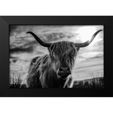 Scottish Black Modern Wood Framed Art Print by Kreiten, Mike