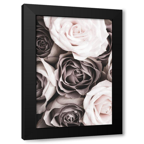 Roses Black Modern Wood Framed Art Print with Double Matting by 1x Studio III