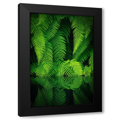 Beauty In Nature Black Modern Wood Framed Art Print with Double Matting by Mitamura, Takeshi