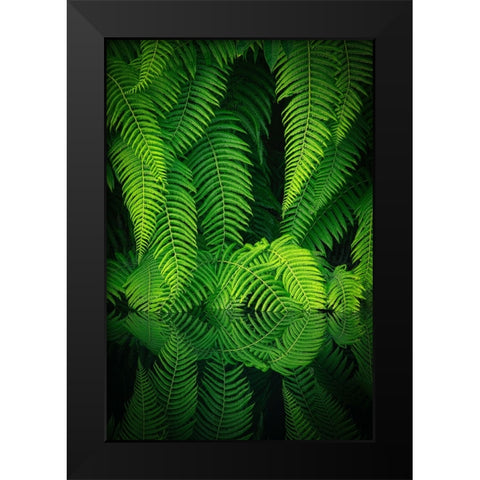 Beauty In Nature Black Modern Wood Framed Art Print by Mitamura, Takeshi