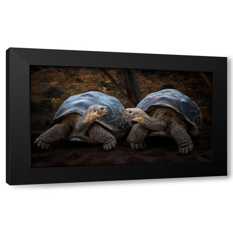 Connection Black Modern Wood Framed Art Print by And Wei, Siyu