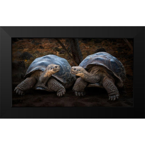 Connection Black Modern Wood Framed Art Print by And Wei, Siyu