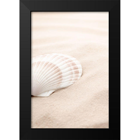 Shell_3 Black Modern Wood Framed Art Print by 1x Studio III