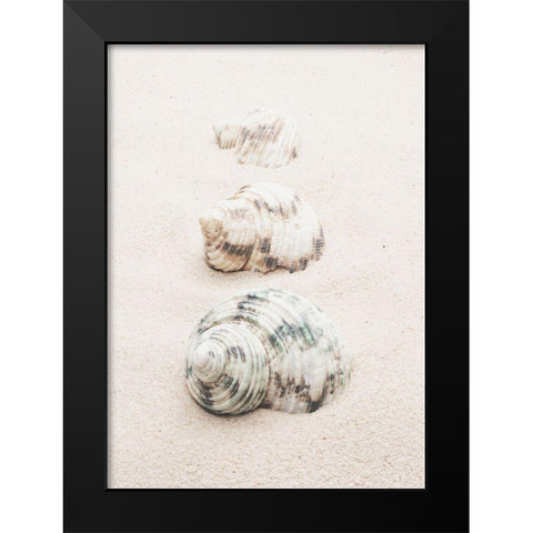 Shells Black Modern Wood Framed Art Print by 1x Studio III