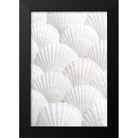 Shells_3 Black Modern Wood Framed Art Print by 1x Studio III