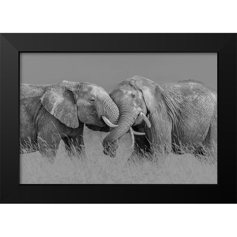 Elephant Flight Black Modern Wood Framed Art Print by Zuo, Jun