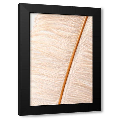 Feather close up_2 Black Modern Wood Framed Art Print with Double Matting by 1x Studio III