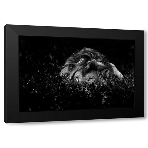 The Lion Black Modern Wood Framed Art Print by Damico, Giuseppe