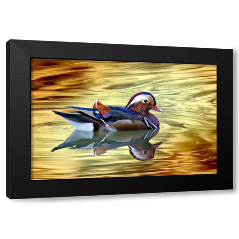 Golden Black Modern Wood Framed Art Print with Double Matting by Bencic, Bojan