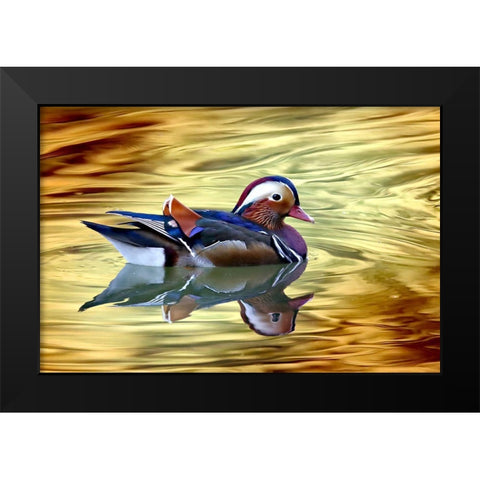 Golden Black Modern Wood Framed Art Print by Bencic, Bojan