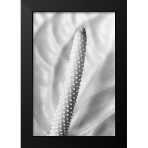Flammingo Flower Black Modern Wood Framed Art Print by 1x Studio III