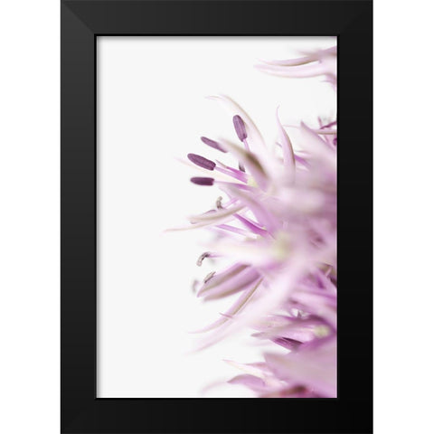 FLOWER PURPLE Black Modern Wood Framed Art Print by 1x Studio III