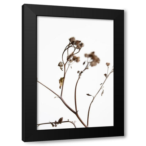 Dried Twig Black Modern Wood Framed Art Print by 1x Studio III