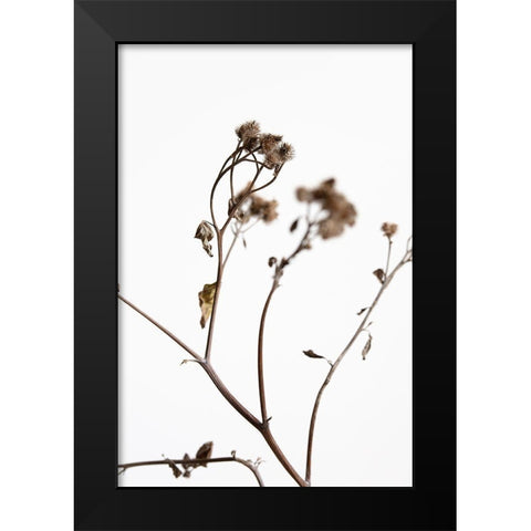 Dried Twig Black Modern Wood Framed Art Print by 1x Studio III