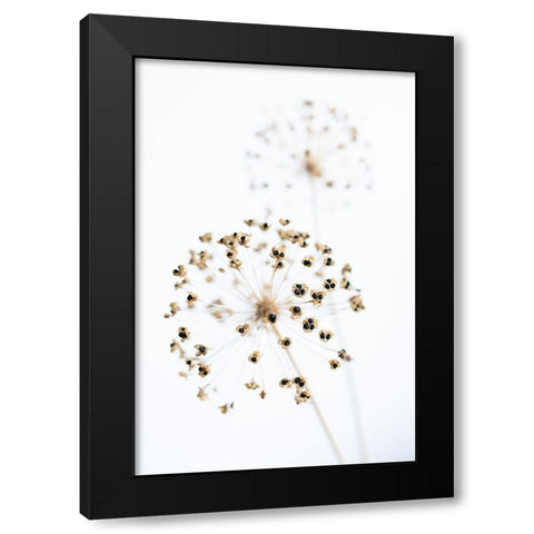 Dried Flower_2_Natural Black Modern Wood Framed Art Print with Double Matting by 1x Studio III