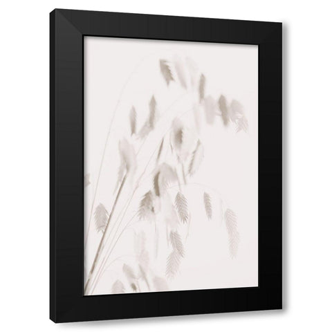 Dried Grass_pink Black Modern Wood Framed Art Print by 1x Studio III