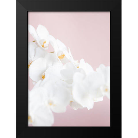 Orchid_1 Black Modern Wood Framed Art Print by 1x Studio III