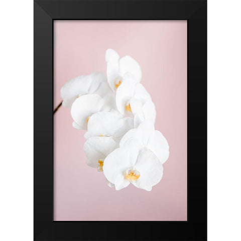 Orchid_2 Black Modern Wood Framed Art Print by 1x Studio III