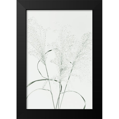Dried Grass_green Black Modern Wood Framed Art Print by 1x Studio III