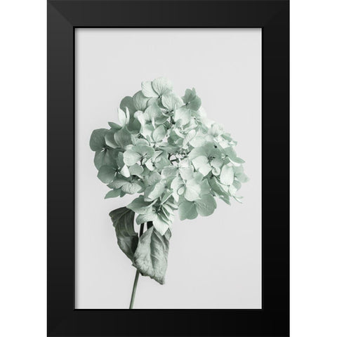 Green dried flower Black Modern Wood Framed Art Print by 1x Studio III
