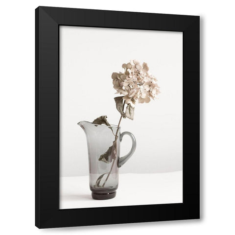 Dried flower in Jug_beige Black Modern Wood Framed Art Print by 1x Studio III