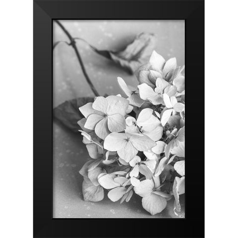 Dried Flowe ron Plate_black a white Black Modern Wood Framed Art Print by 1x Studio III