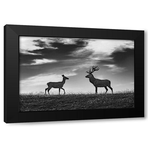 Meeting Black Modern Wood Framed Art Print by Kravanja, Jure