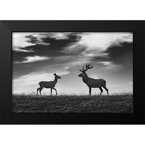 Meeting Black Modern Wood Framed Art Print by Kravanja, Jure