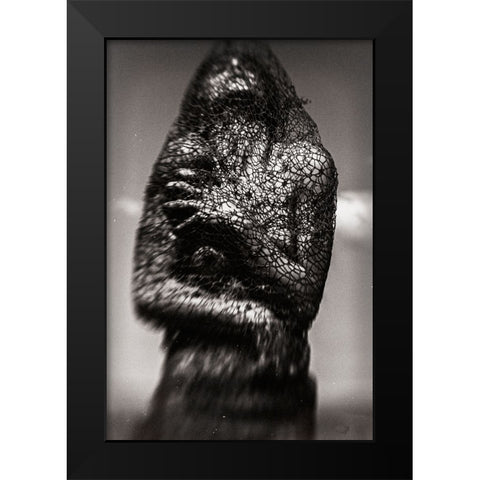 Cocoon Black Modern Wood Framed Art Print by Bousca, Bogdan