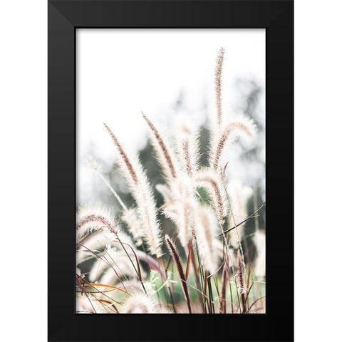 Grass Black Modern Wood Framed Art Print by 1x Studio III