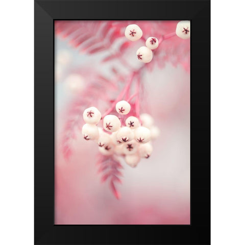 Berries on a twig No2 Black Modern Wood Framed Art Print by 1x Studio III