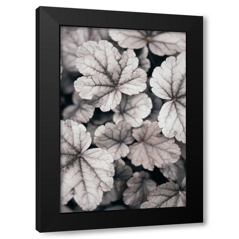 Gray-Pink Leaves Black Modern Wood Framed Art Print with Double Matting by 1x Studio III