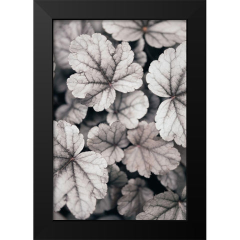 Gray-Pink Leaves Black Modern Wood Framed Art Print by 1x Studio III