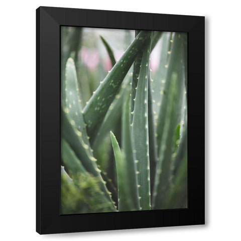 Cacti Black Modern Wood Framed Art Print with Double Matting by 1x Studio III