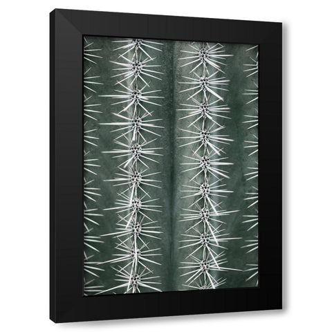 Cactus Green Black Modern Wood Framed Art Print with Double Matting by 1x Studio III