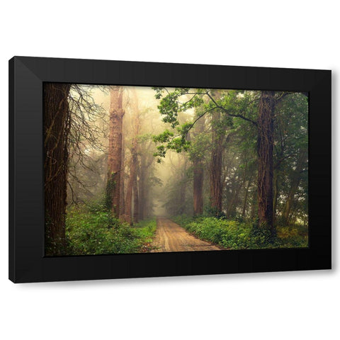 After Summer Black Modern Wood Framed Art Print with Double Matting by Van Dongen, Anton