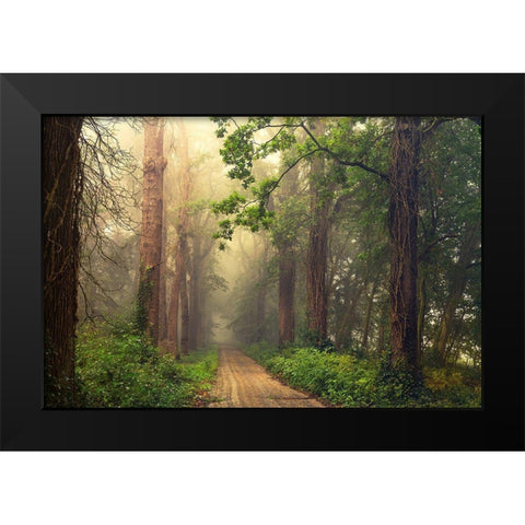 After Summer Black Modern Wood Framed Art Print by Van Dongen, Anton