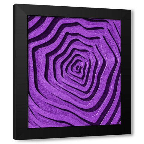 Purple Maze Black Modern Wood Framed Art Print by Pearson, Wayne