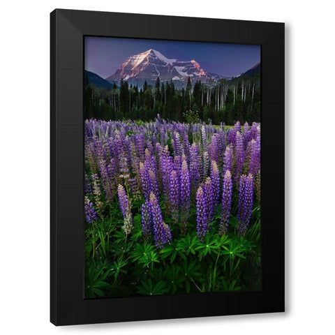 Mt Robson Black Modern Wood Framed Art Print with Double Matting by Poushkina, Marina