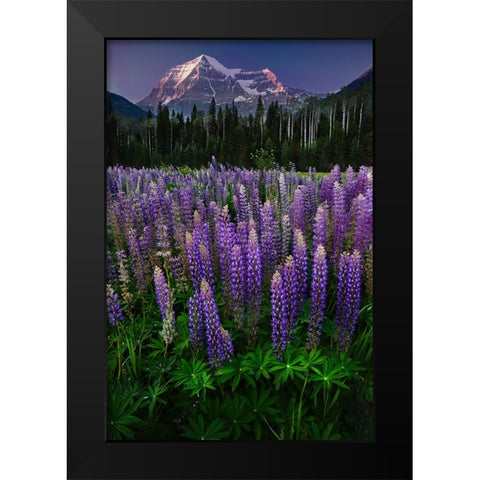 Mt Robson Black Modern Wood Framed Art Print by Poushkina, Marina
