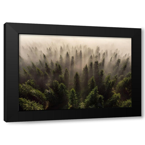 The Army Of Firs Black Modern Wood Framed Art Print by Ioan Ovidiu, Lazar
