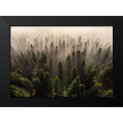 The Army Of Firs Black Modern Wood Framed Art Print by Ioan Ovidiu, Lazar