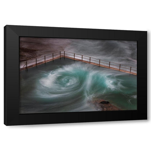 Curlie Black Modern Wood Framed Art Print with Double Matting by Steggles, Rosie