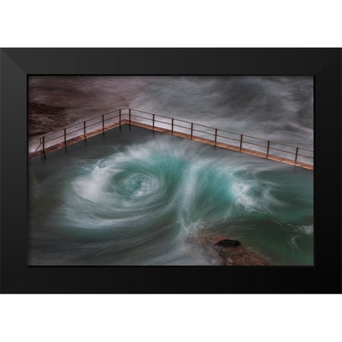 Curlie Black Modern Wood Framed Art Print by Steggles, Rosie